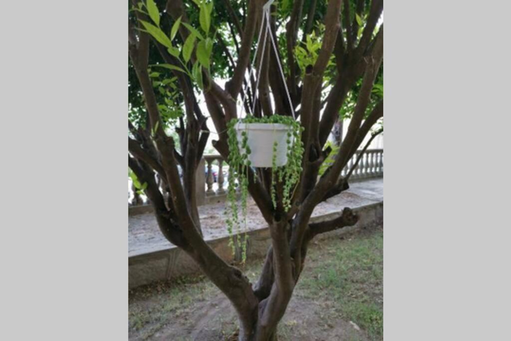Appartement De Charme A Olmeto โอลเมโท ภายนอก รูปภาพ