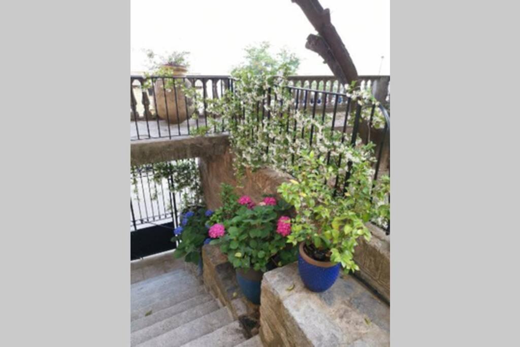Appartement De Charme A Olmeto โอลเมโท ภายนอก รูปภาพ